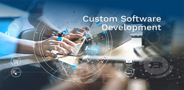 Custom Software Development - Hamsa IT Solutions Pvt Ltd